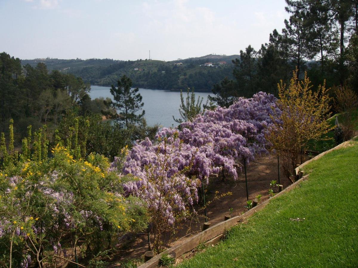 Vila Quinta Do Troviscal Castelo do Bode Exteriér fotografie