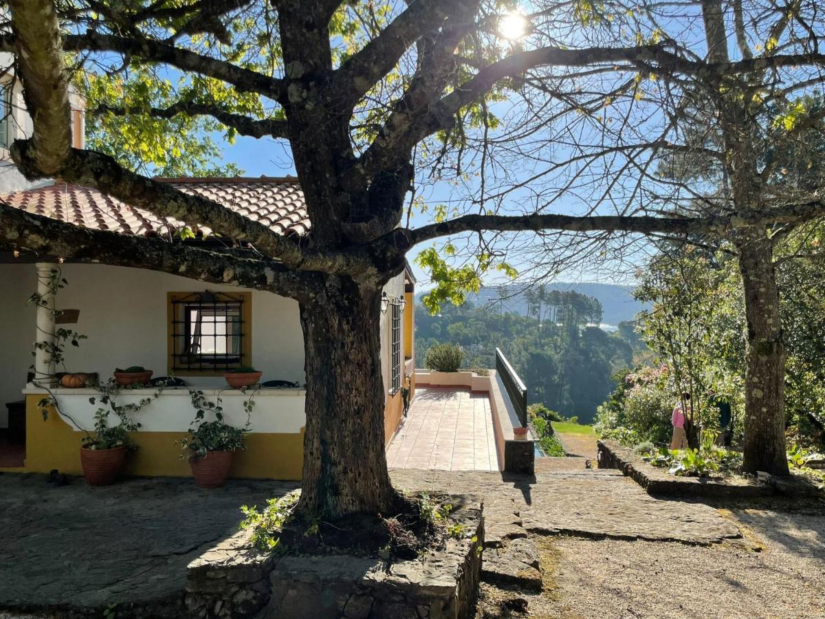 Vila Quinta Do Troviscal Castelo do Bode Exteriér fotografie