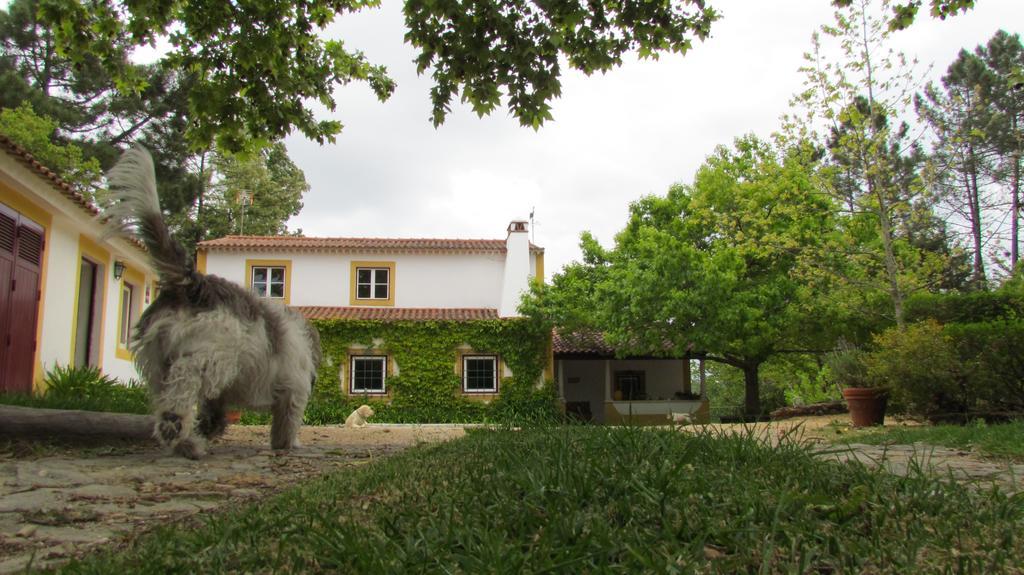 Vila Quinta Do Troviscal Castelo do Bode Exteriér fotografie