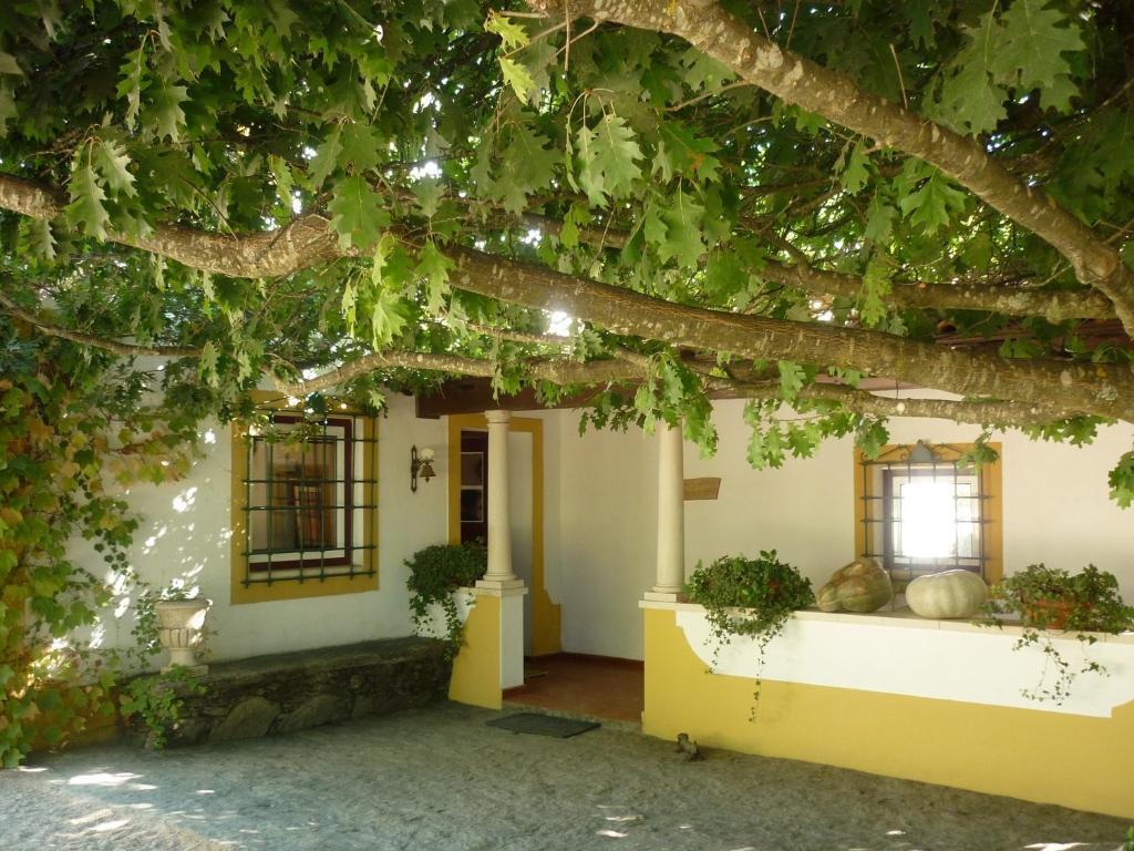 Vila Quinta Do Troviscal Castelo do Bode Exteriér fotografie