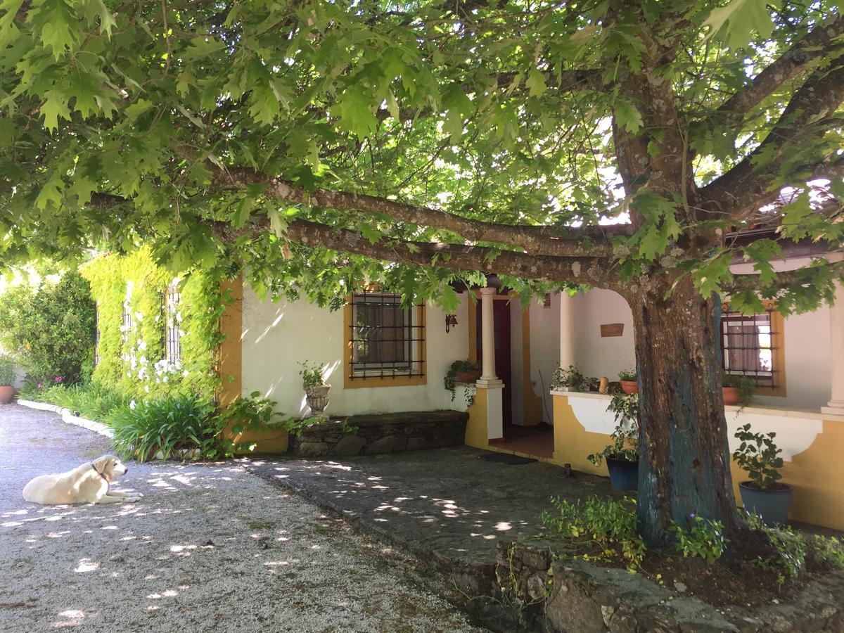 Vila Quinta Do Troviscal Castelo do Bode Exteriér fotografie